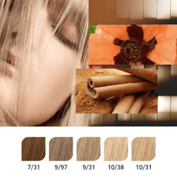 KOLESTON PERFECT Rich Naturals 10/31