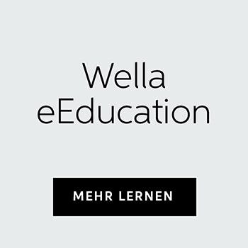 education-eeducation-banner-wellastore