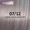 WP Shinefinity Cool Mushroom 07/12 60ml