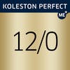 KOLESTON PERFECT Special Blonde 12/0
